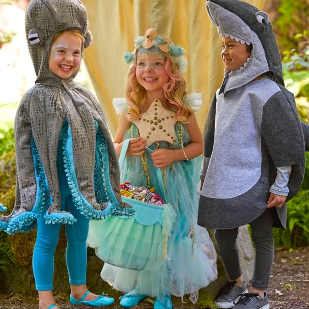 EUC Pottery barn Kids Mermaid Halloween Costume 7-8T